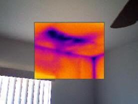 Thermal Image shows roof is leaking.